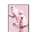 Parrot Diamond Painting Round | Buy DIY Wall Art Creatively