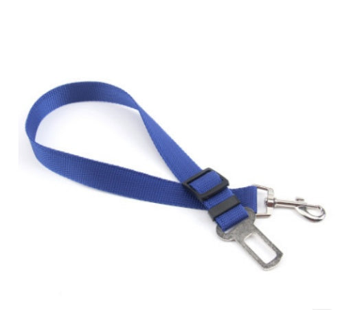 Dog Leash Polyester | Robust Leash Training Everyday Use