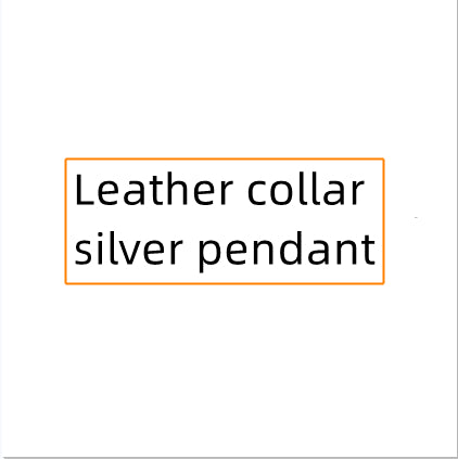 Titanium Steel Collar Necklace – Modern Women's Jewelry Elegant & Robust