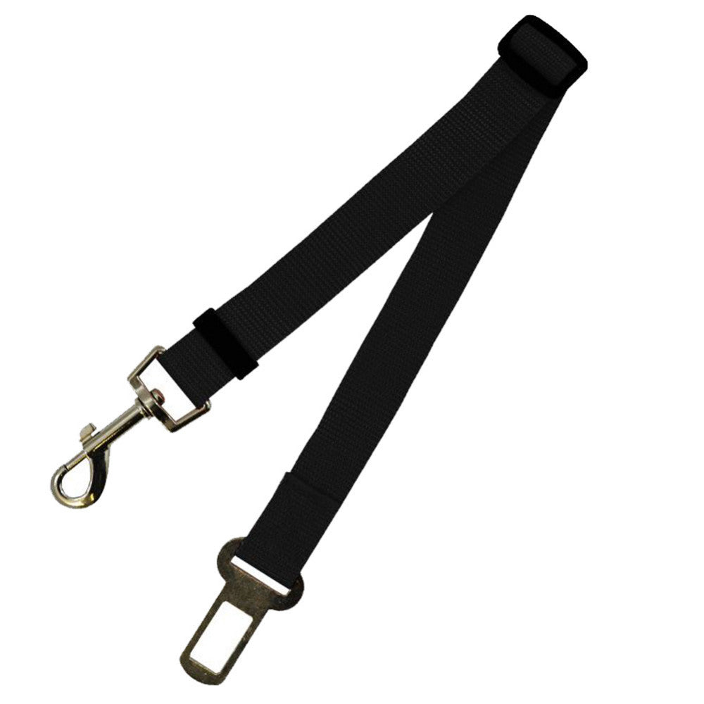 Dog Leash Polyester | Robust Leash Training Everyday Use