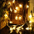 LED Christmas Lights for Garden - Battery Operated Decorative String Lights