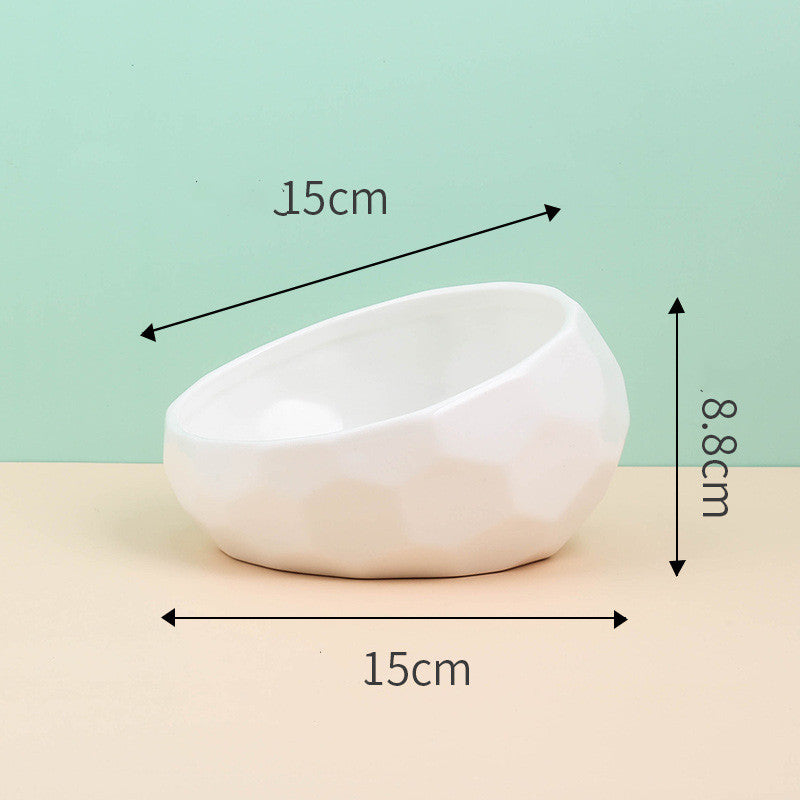 Ceramic Slanted Pet Bowl | Ergonomic Dog Cat Hygienic