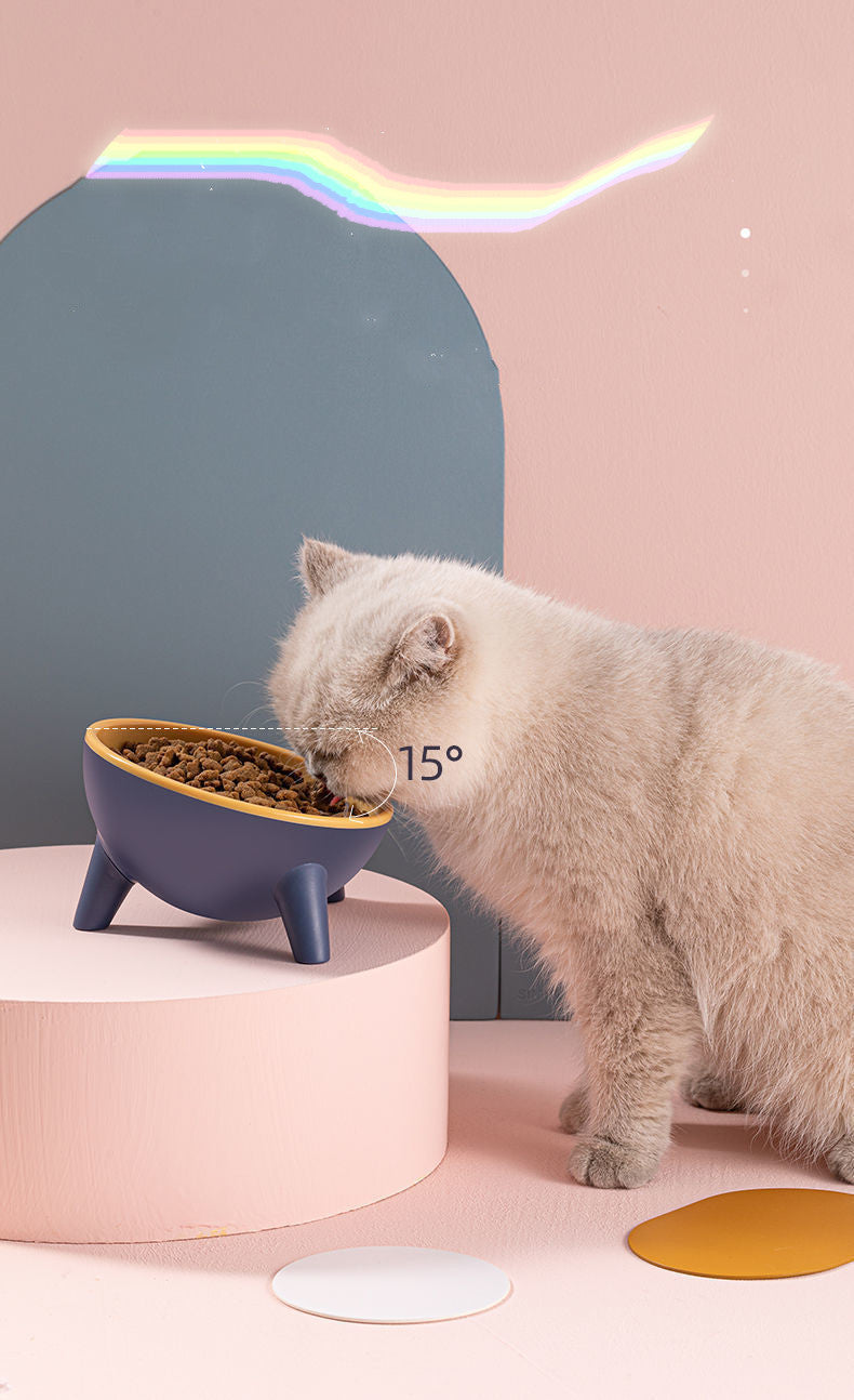 Elevated Feeder for Dog Cat | Bowl with Stand Modern