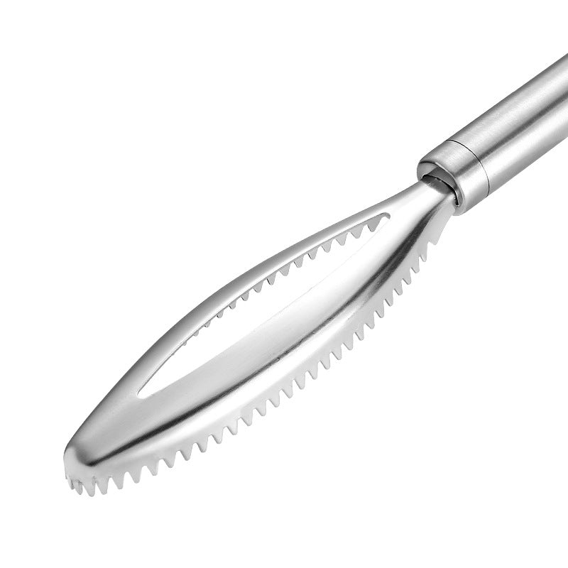 Fish Scaler Stainless Steel | Fish Scale Remover Kitchen Tool