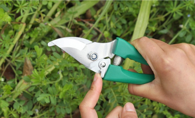 10-teiliges Gartenwerkzeug Set – Profi Gartengeräte für Pflanzenpflege