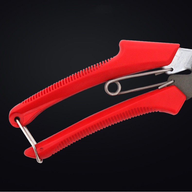 Professional Pruning Shears for Fruit Trees – Precise Tree Pruner Garden Tool