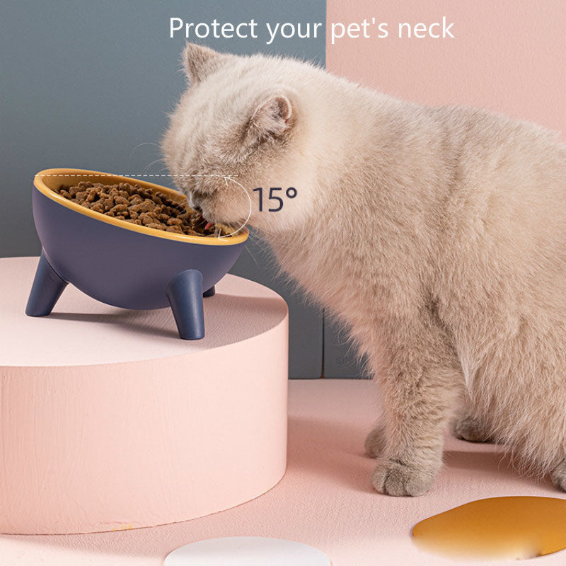 Elevated Feeder for Dog Cat | Bowl with Stand Modern