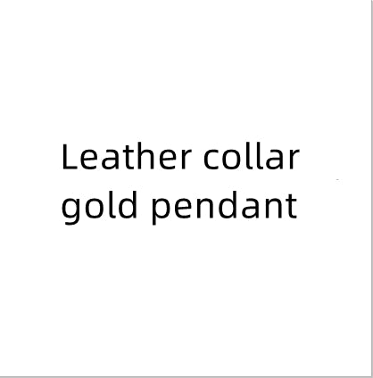 Titanium Steel Collar Necklace – Modern Women's Jewelry Elegant & Robust
