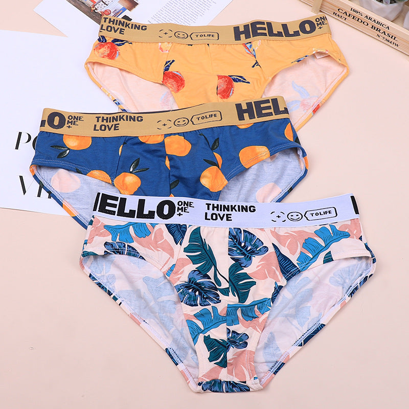 Men's Plus Size Cotton Briefs | Breathable Comfortable Underwear
