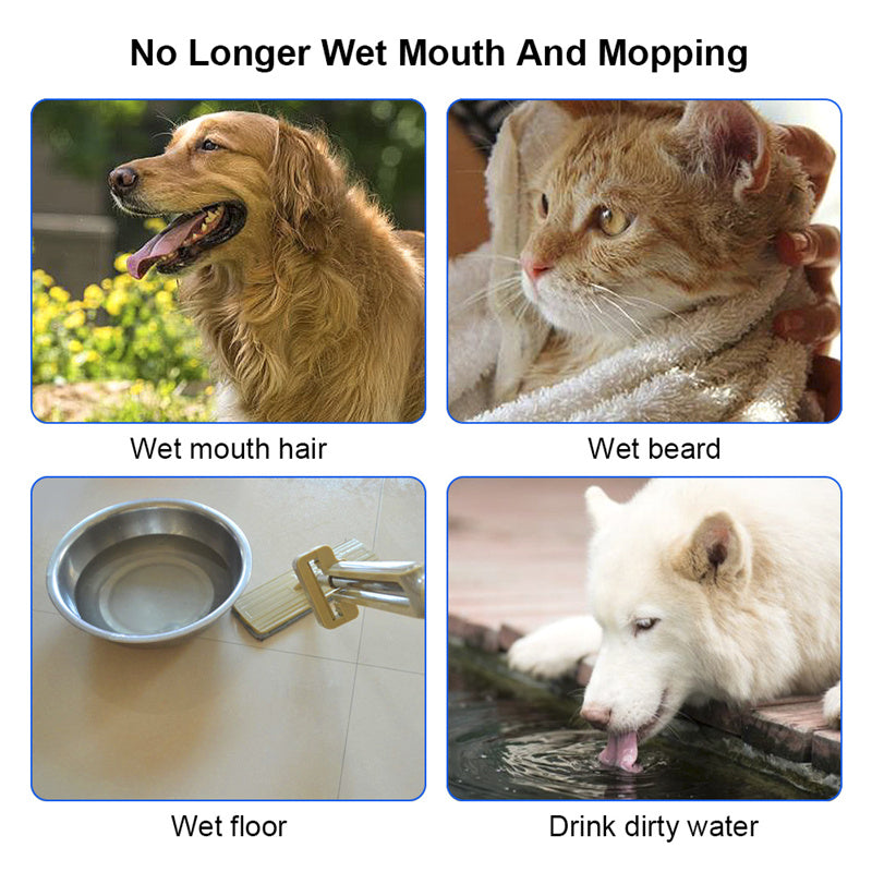 Pet Water Bowl for Dogs and Cats | Anti-Spill Slow Feeder 1.5L