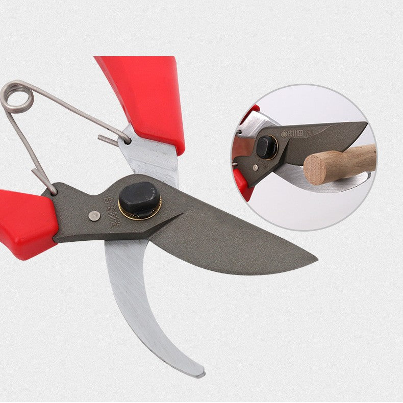 Professional Pruning Shears for Fruit Trees – Precise Tree Pruner Garden Tool