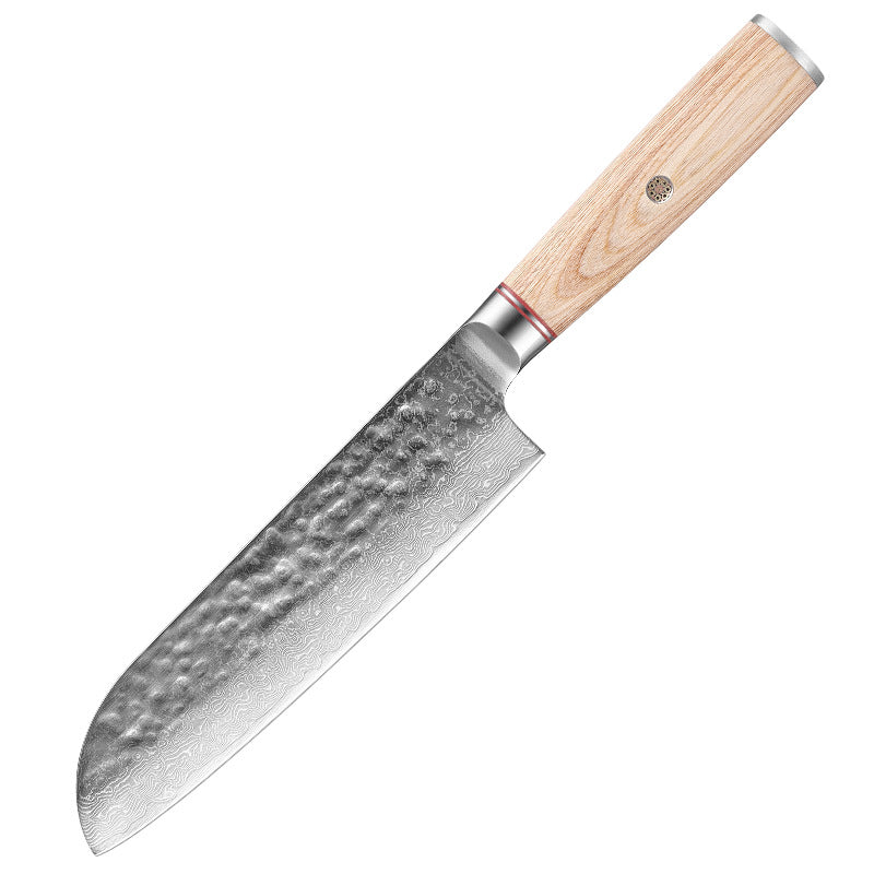 Damascus Kitchen Knife Professional | Ultra Sharp Stainless Steel Chef's Knife