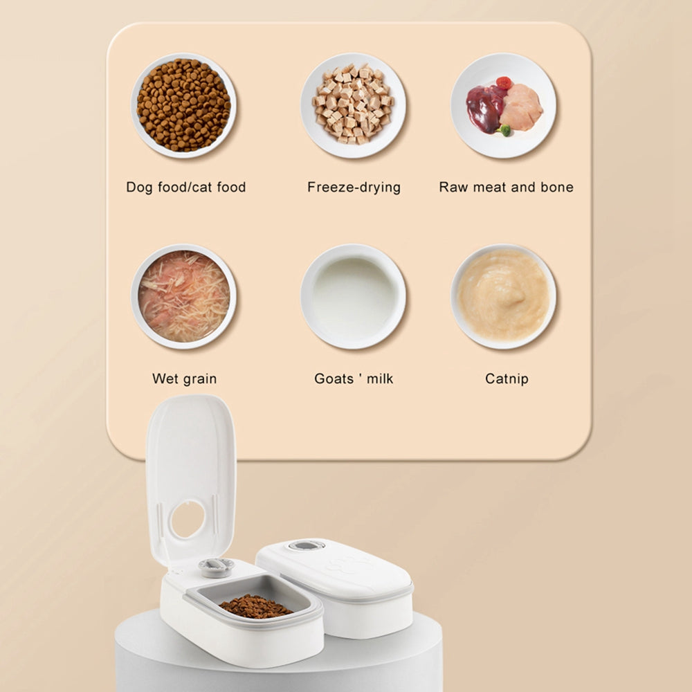 Automatic Pet Feeder Dog Cat | Timer Smart Pet Food Dispenser Stainless Steel