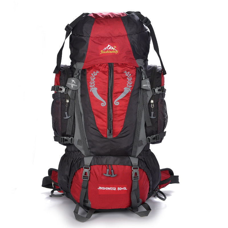 Professional Trekking Backpack 80L/85L | Outdoor Backpack for Travel, Hiking & Camping