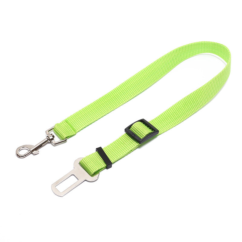 Dog Leash Polyester | Robust Leash Training Everyday Use