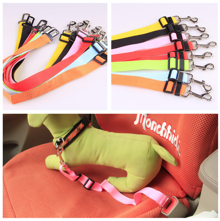Dog Leash Polyester | Robust Leash Training Everyday Use