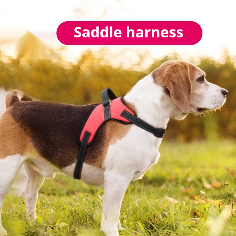 Hundegeschirr Camouflage | Outdoor Hundeweste robust verstellbar