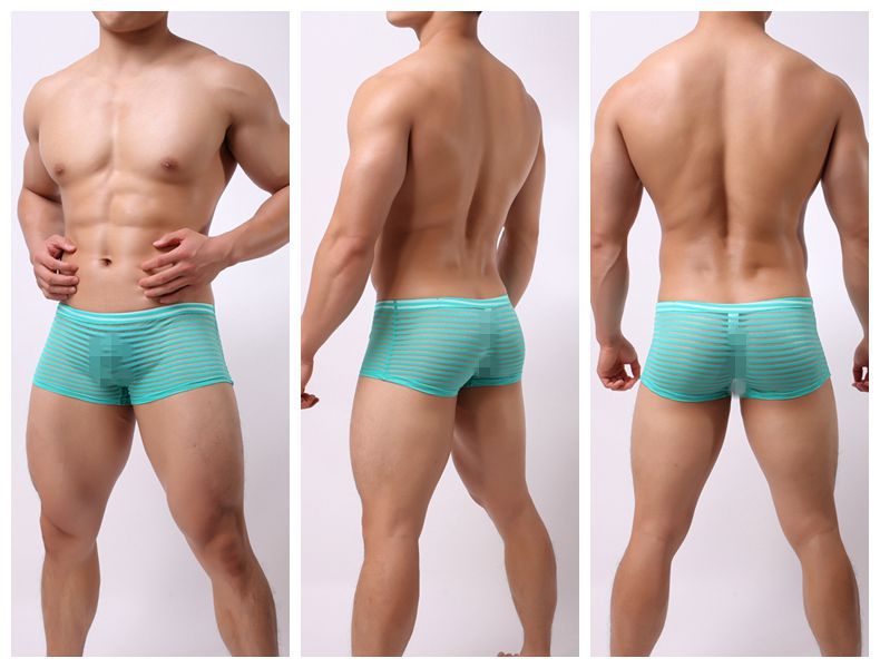 Men's Transparent Striped Boxer Briefs - Breathable Sexy Underwear