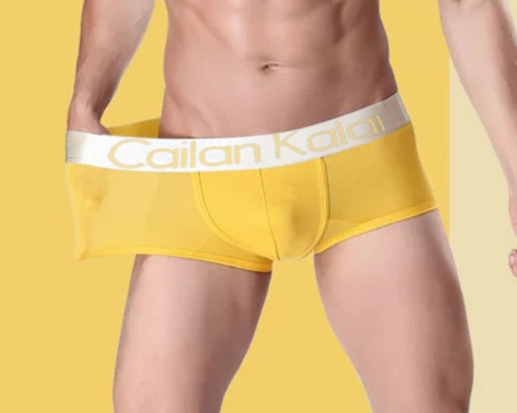 Men's Modal Boxer Briefs | Breathable | Comfortable Underwear