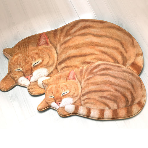 3D Cat Bath Mat Non-Slip Absorbent | Cute Rug