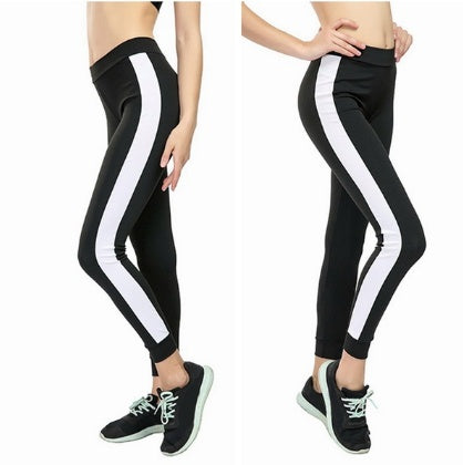 Women's Sports Leggings High Waist | Fitness Tights Color Design