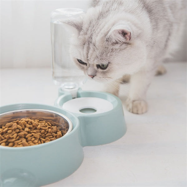 Pet Bowl Dog Cat | robust hygienic non-slip