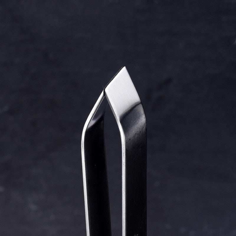 Fish Scaler Stainless Steel | Fish Scale Remover Kitchen Tool