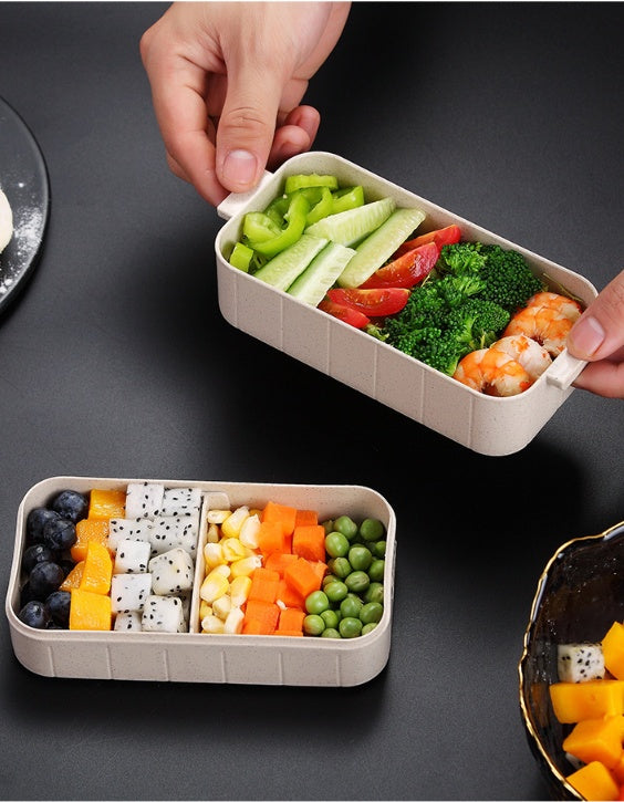 Microwave-safe lunchbox | Healthy Bento box for on the go