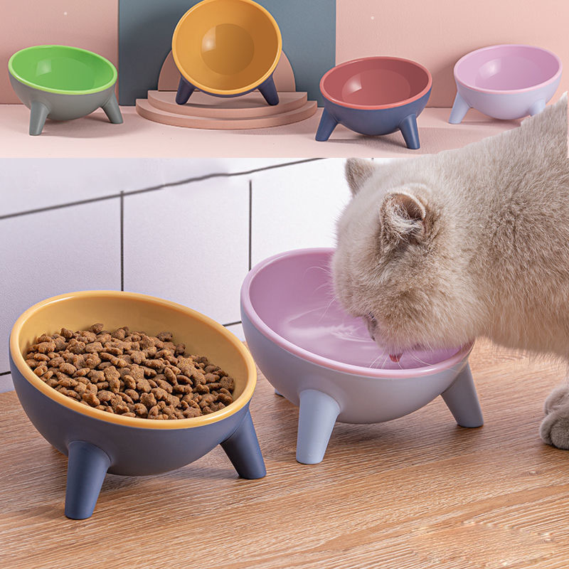 Elevated Feeder for Dog Cat | Bowl with Stand Modern
