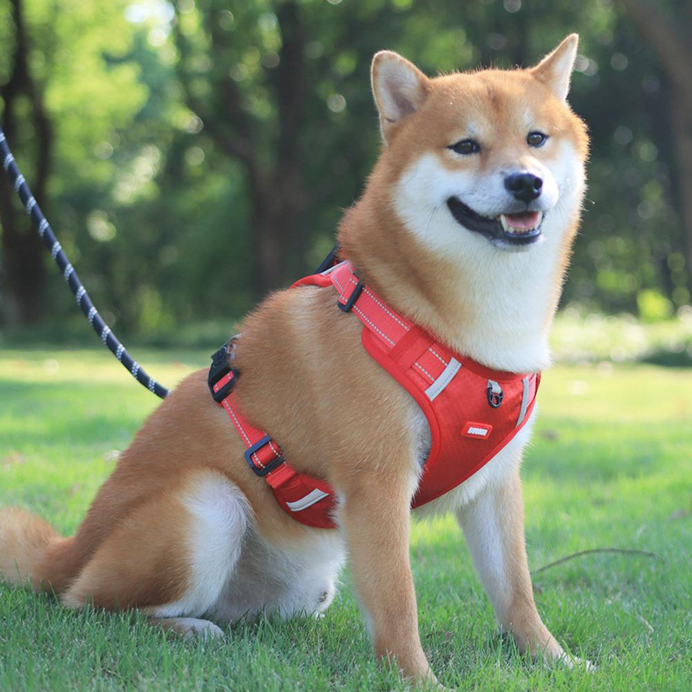 Dog Harness Anti-Pull | Breathable Reflective Training