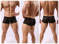 Men's Transparent Striped Boxer Briefs - Breathable Sexy Underwear