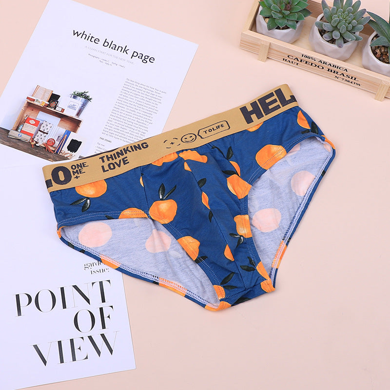 Men's Plus Size Cotton Briefs | Breathable Comfortable Underwear