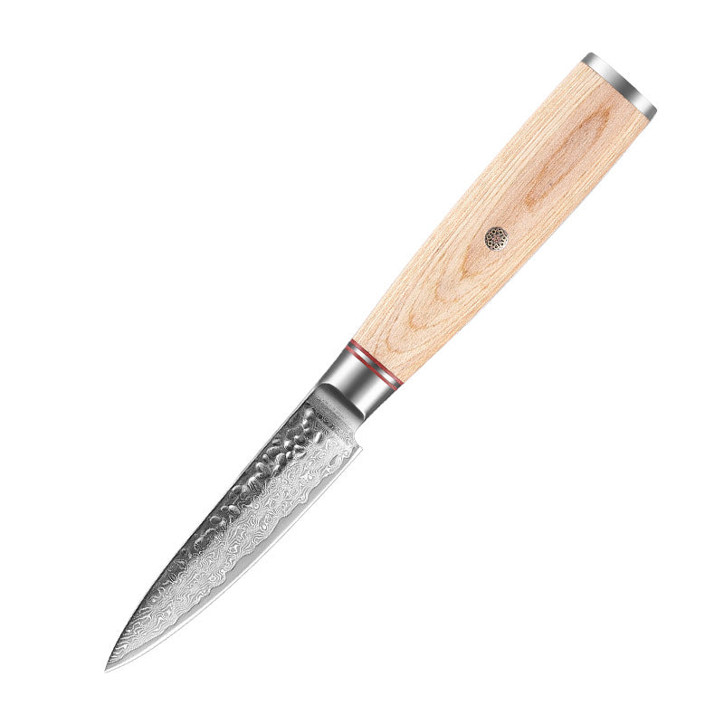 Damascus Kitchen Knife Professional | Ultra Sharp Stainless Steel Chef's Knife