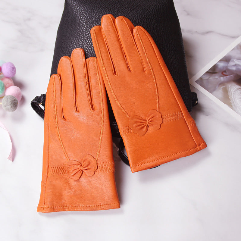 Damen Fingerlose Handschuhe mit Schmetterling – Korean Style