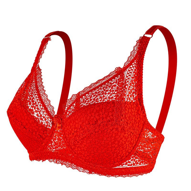 Lace Push-Up Bra | Adjustable Comfort Bra for Women
