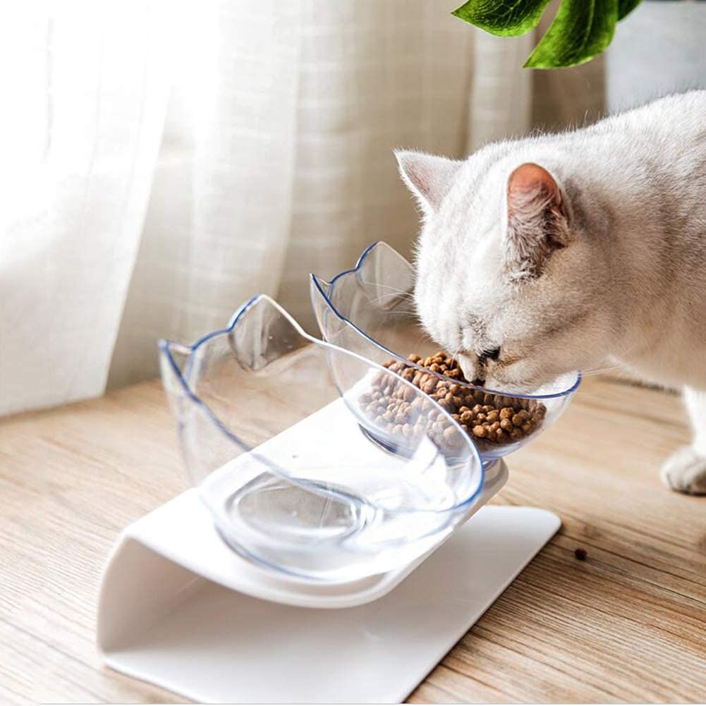 Double Bowl Dog Cat | Elevated Non-Slip Feeder Set