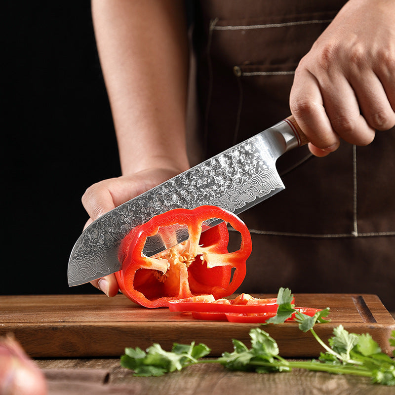 Damascus Kitchen Knife Professional | Ultra Sharp Stainless Steel Chef's Knife