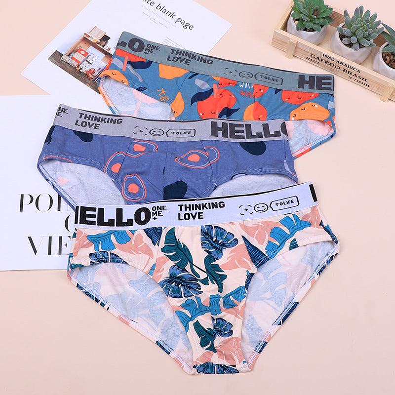 Men's Plus Size Cotton Briefs | Breathable Comfortable Underwear