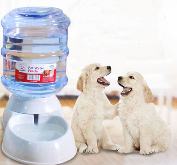 Pet Food and Water Dispenser | Automatic Large Capacity