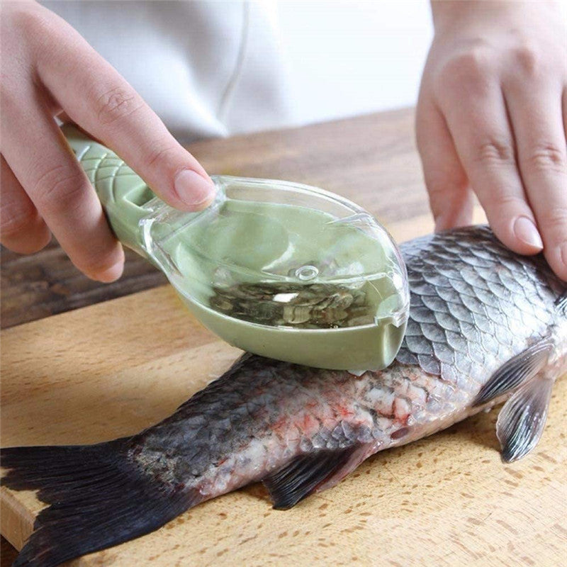Fish Scaler Brush Stainless Steel – Professional Fish Scraper Kitchen Tool