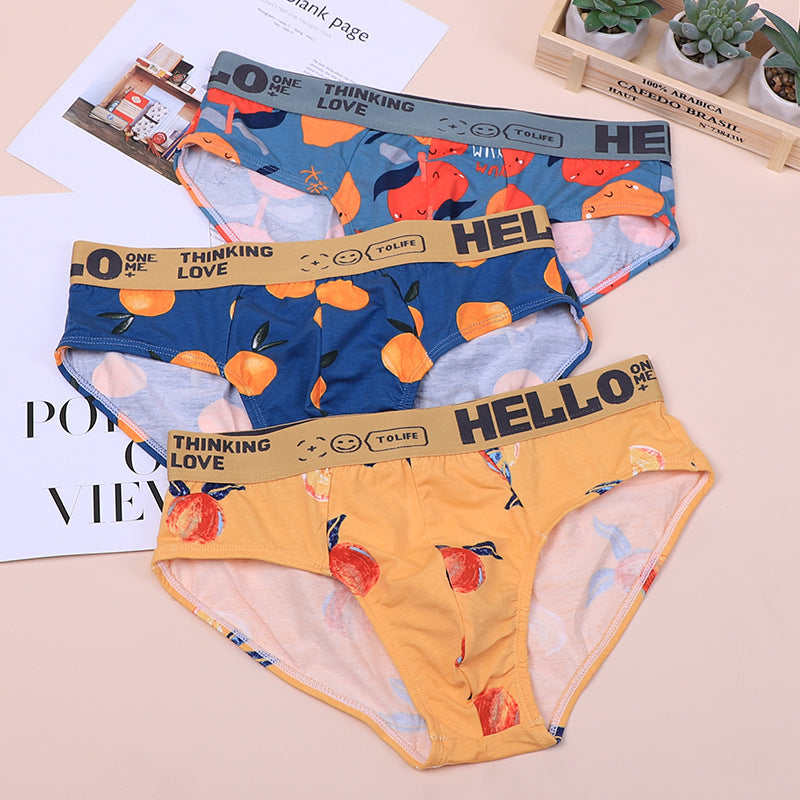Men's Plus Size Cotton Briefs | Breathable Comfortable Underwear