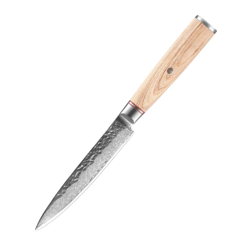 Damascus Kitchen Knife Professional | Ultra Sharp Stainless Steel Chef's Knife