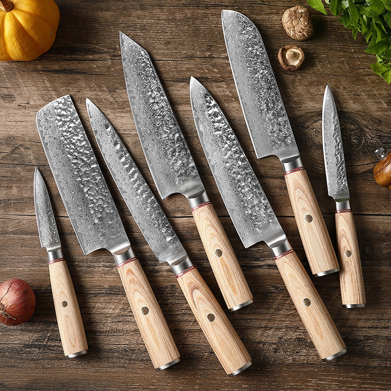 Damascus Kitchen Knife Professional | Ultra Sharp Stainless Steel Chef's Knife