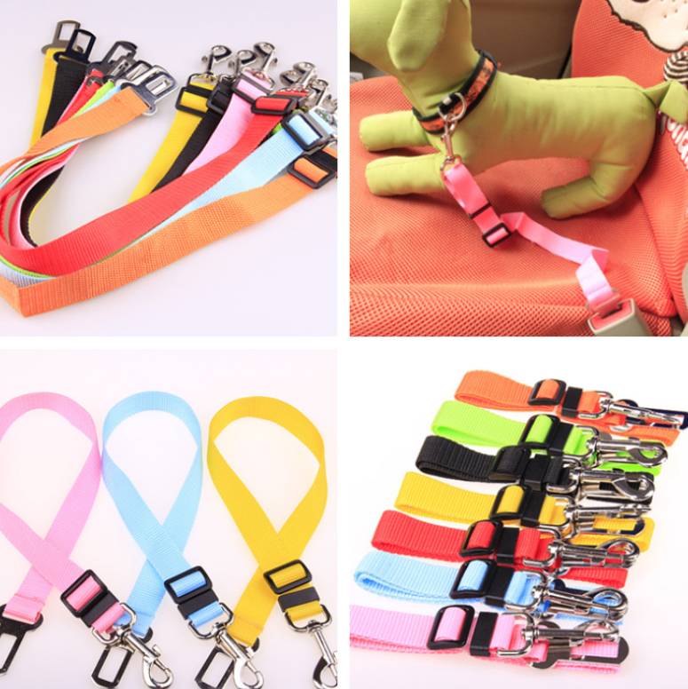 Dog Leash Polyester | Robust Leash Training Everyday Use