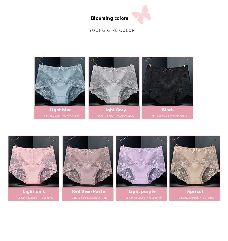 Women's Lace Briefs Antibacterial – Sexy, Breathable & Comfortable