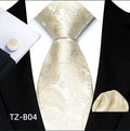 Paisley Tie Set for Men, Elegant 3-Piece, Business Wedding