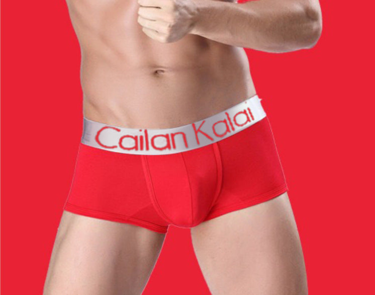 Men's Modal Boxer Briefs | Breathable | Comfortable Underwear