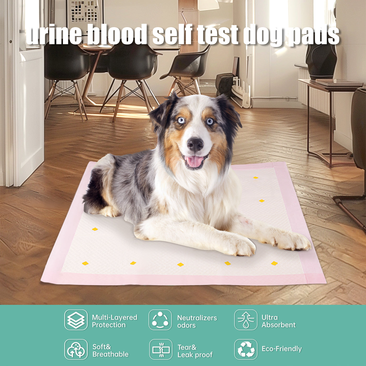 Dog Training Pads Attractant | Absorbent Hygienic Urine Pads