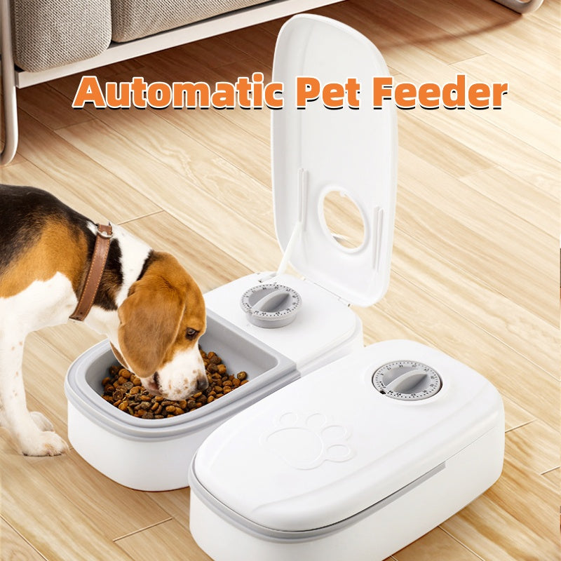 Automatic Pet Feeder Dog Cat | Timer Smart Pet Food Dispenser Stainless Steel