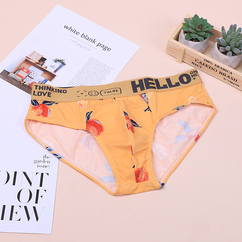 Men's Plus Size Cotton Briefs | Breathable Comfortable Underwear
